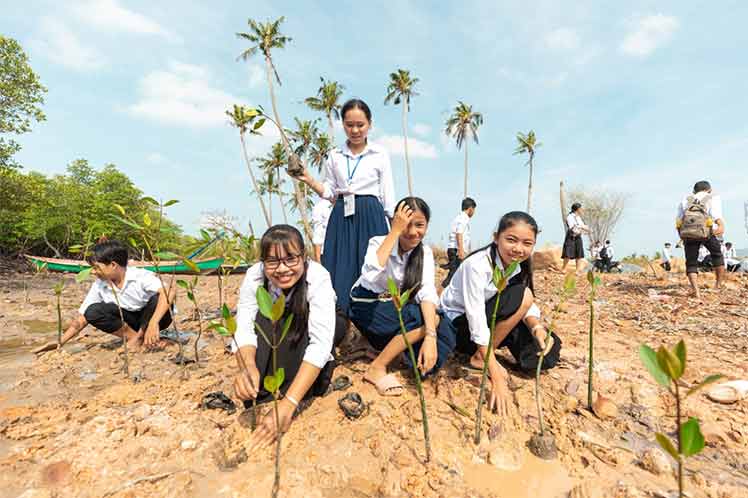 niños plantan árboles