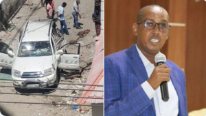 Somália porta voz do governo Mohamed-Ibrahim-Moalimuu