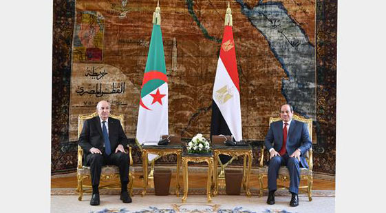 egito-e-argelia-analisam-a-situacao-na-libia-e-na-palestina