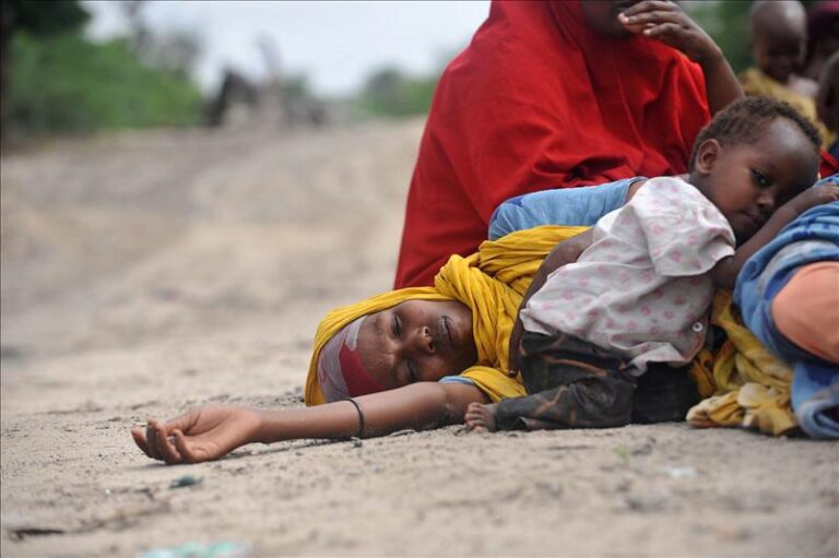 População do Chifre da África ameaçada de fome devido à seca