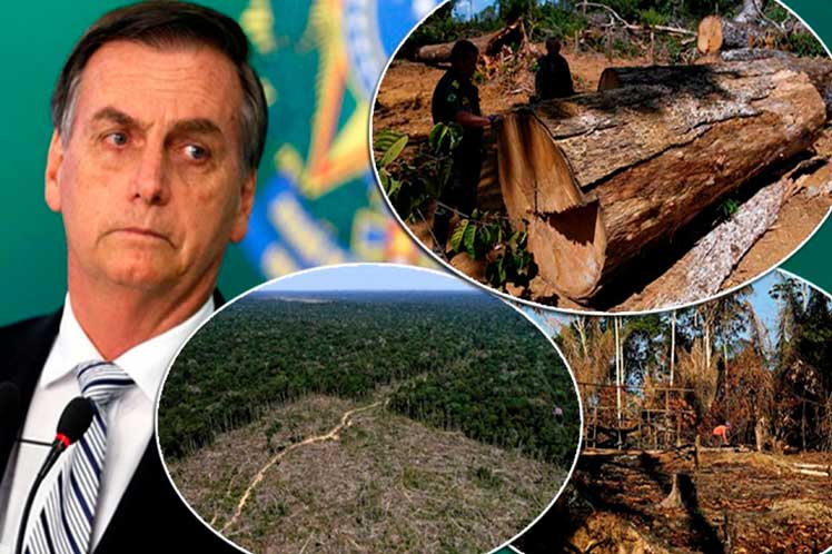 Brasil, Amazonía, deforestación, récord