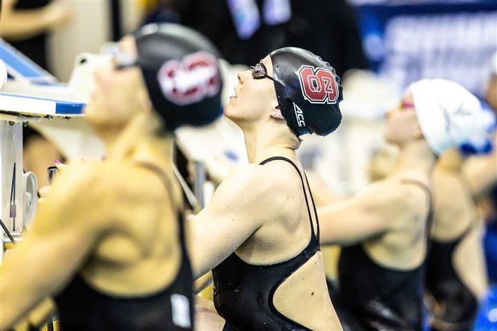 natación, mundial, finales