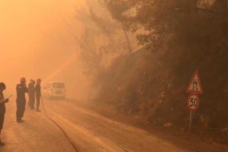 Turquía, incendio, forestal, afectaciones