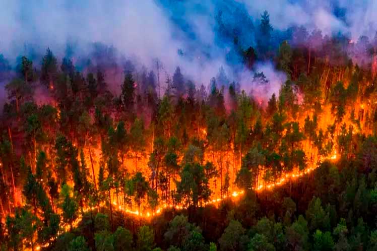 Francia-incendios-forestales