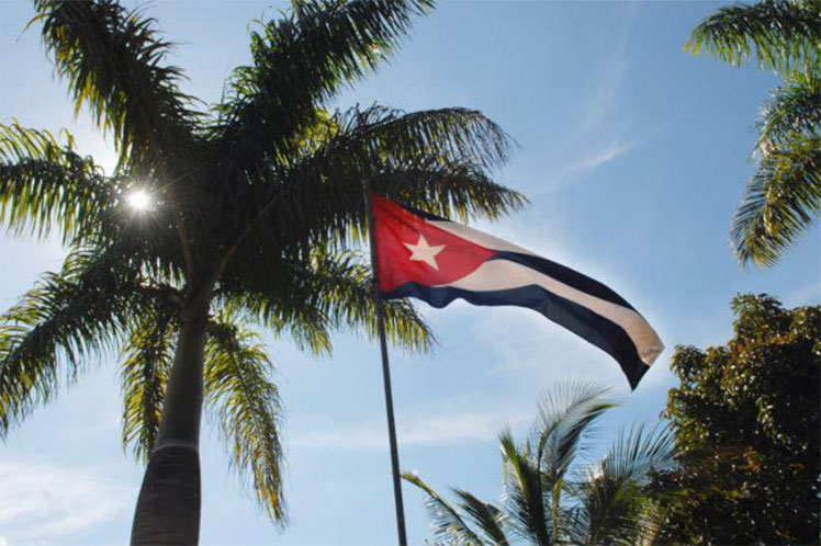 Cuba-bandera-palma-2