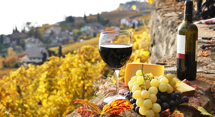 Italia industria vino
