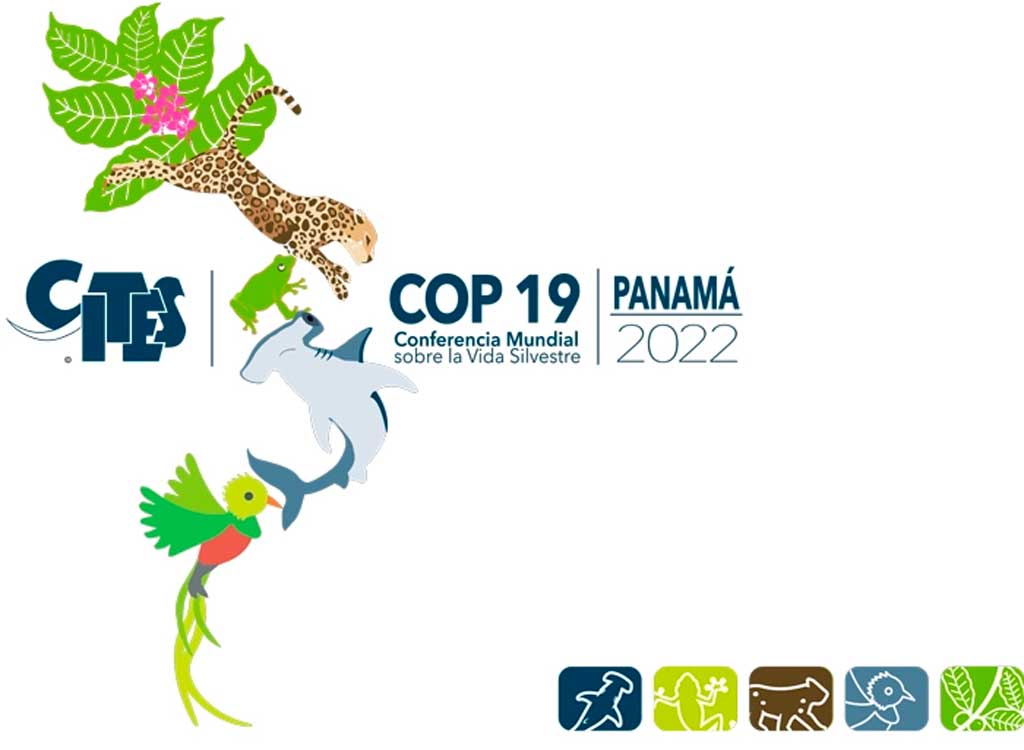 19-Conferencia-de-las-Partes-(COP19)