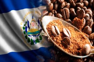 El-Salvador-exportaciones-cafe-300x200