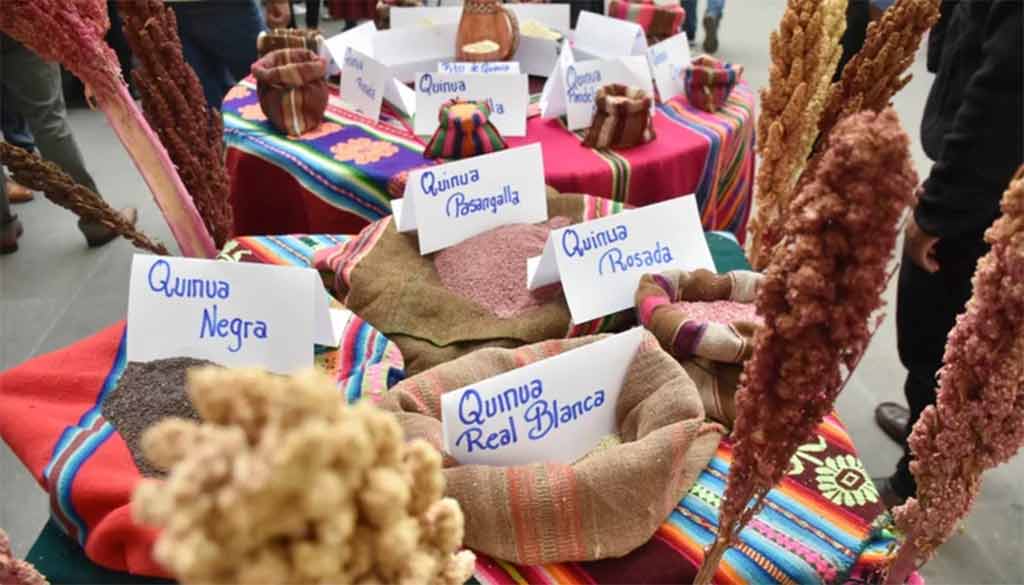 bolivia-sera-sede-do-7o-congresso-mundial-de-quinoa