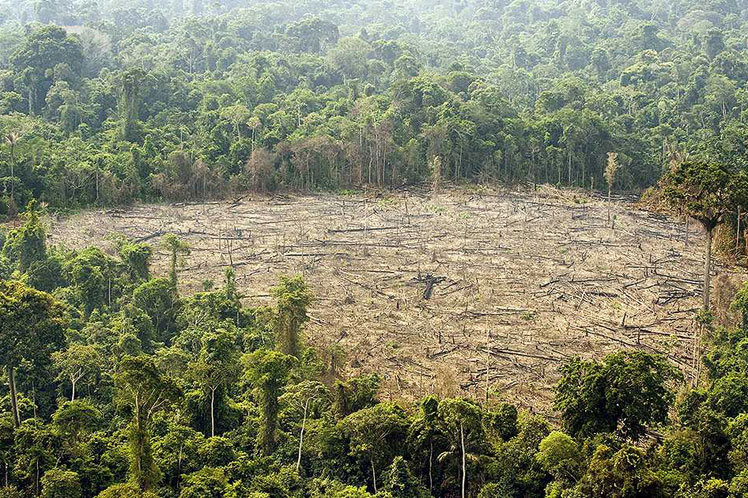 colombia-deforestacion