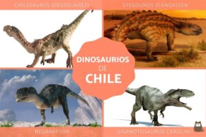 Dinosaurios-Chile-300x200