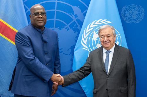 RDC-ONU