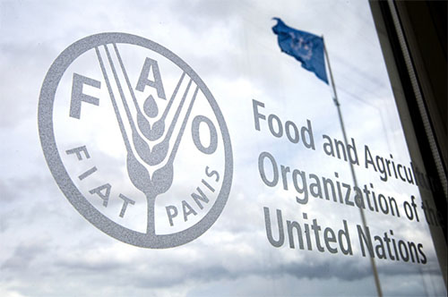 FAO-logo_window
