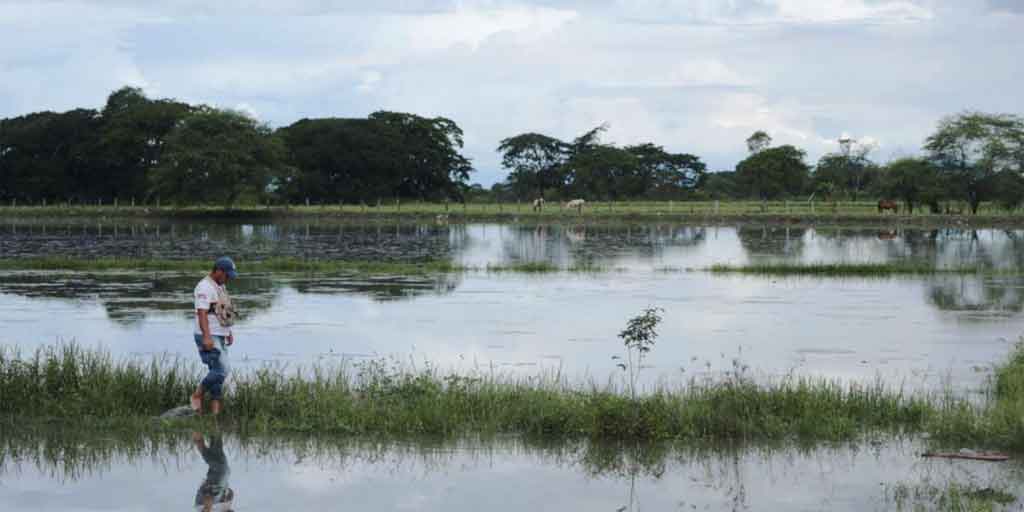 pedida-declaracao-de-emergencia-agricola-devido-as-chuvas-no-equador