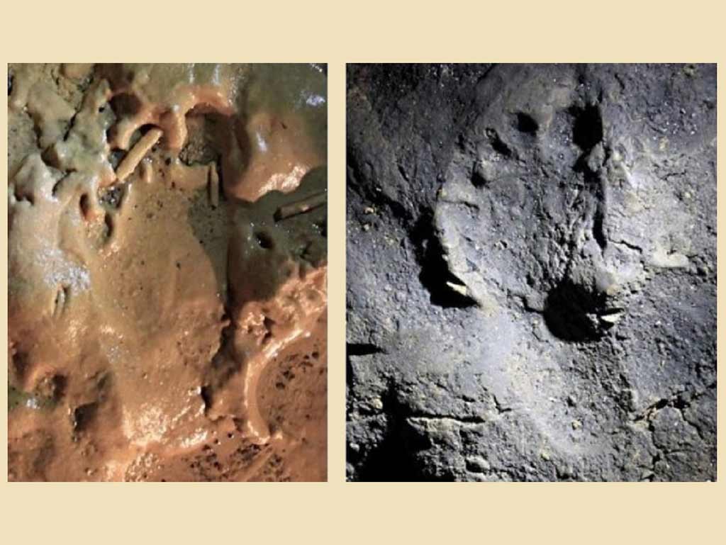 Surge na Itália o caso mais antigo de cooperação entre humanos e cães