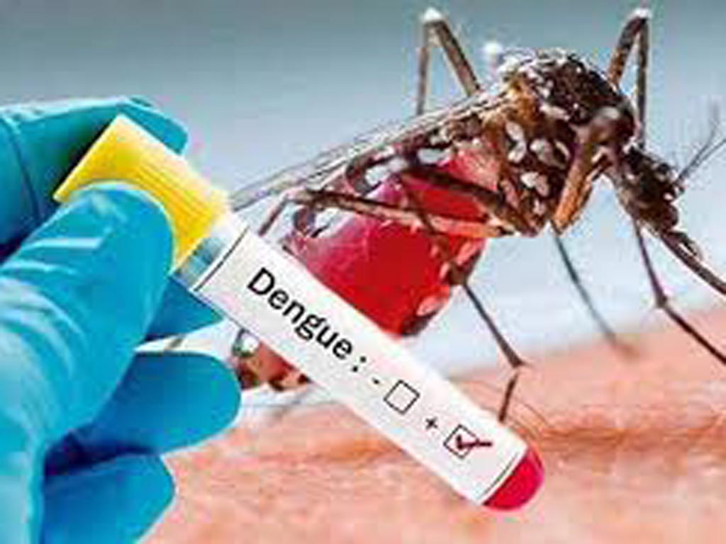 Panamá registra diminuição de casos de dengue