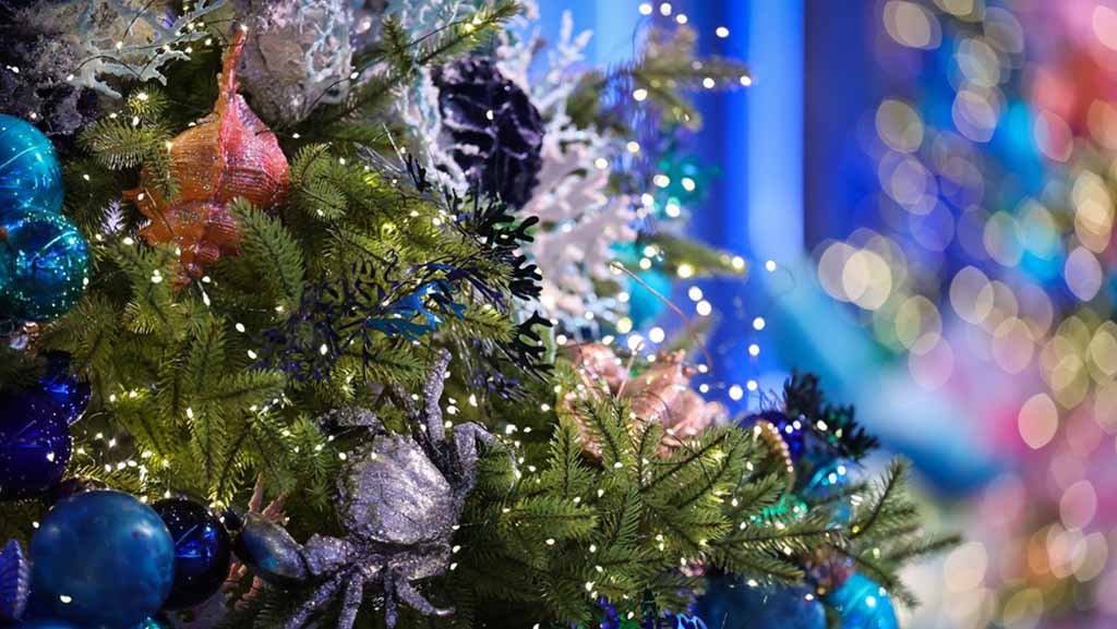 Estreia em Moscou a peça multigênero “Morozko”