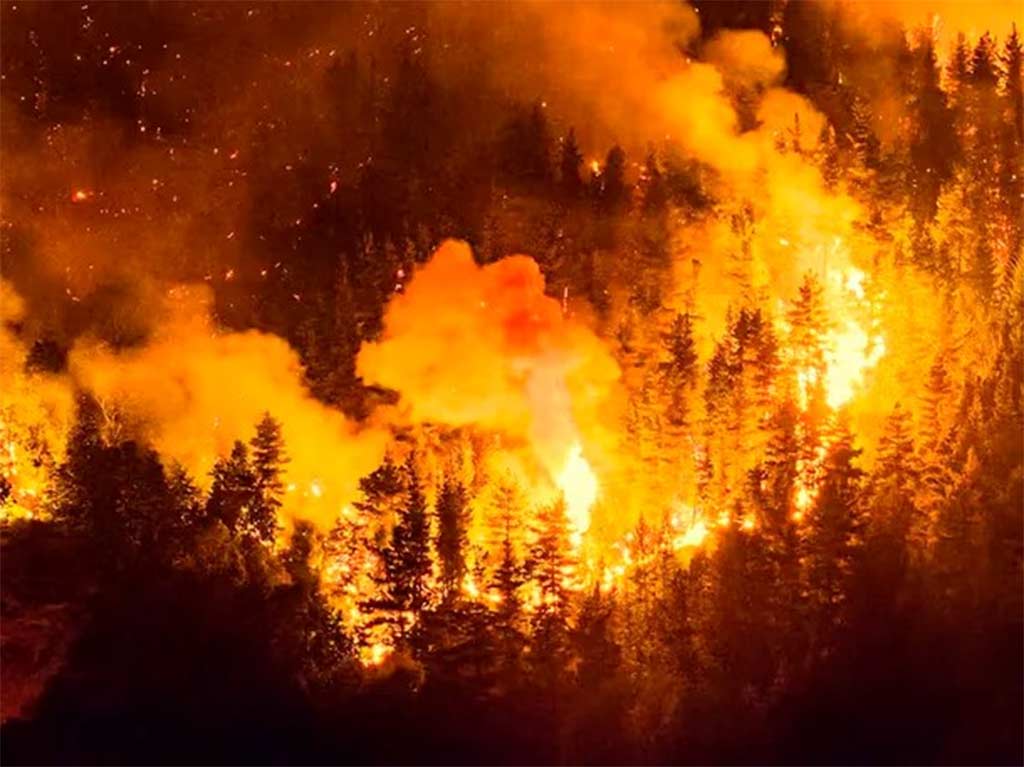 Chile oferece ajuda à Argentina para combater incêndios na Patagônia