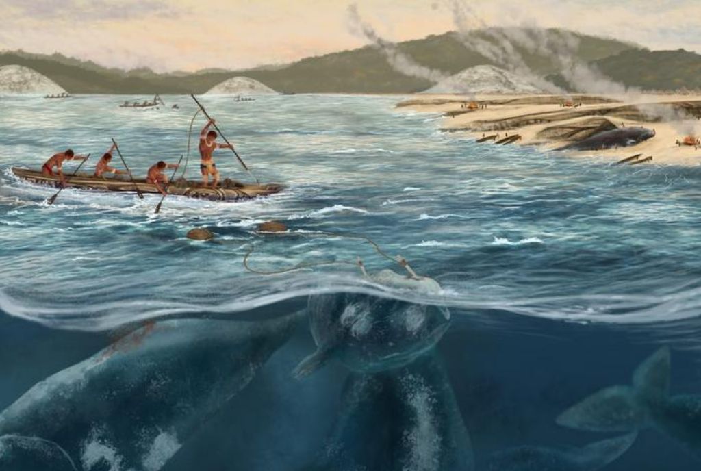 Caça às baleias no Brasil remonta a 5.000 anos