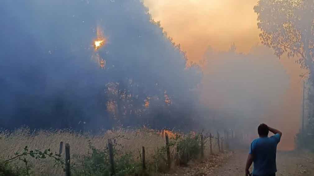 Estado de catástrofe em regiões do Chile devido a incêndios florestai