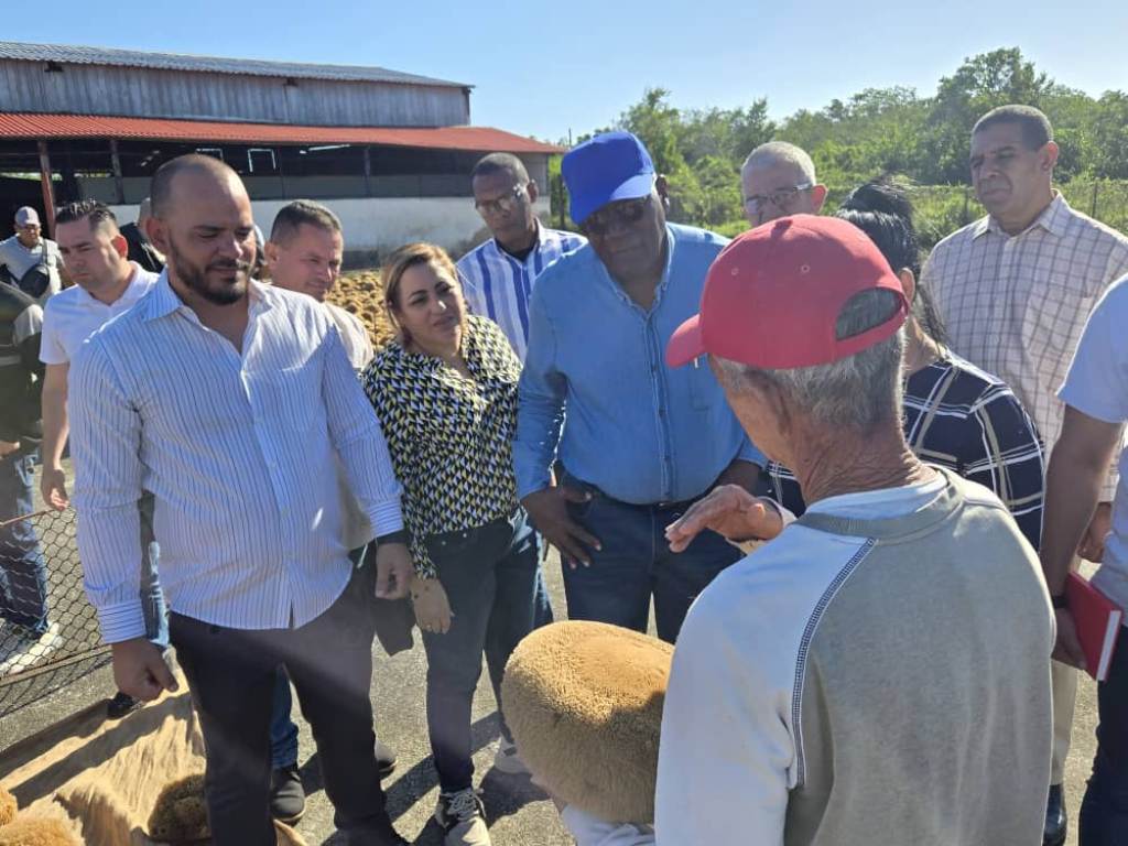 Vice-presidente cubano avalia programa econômico em província central